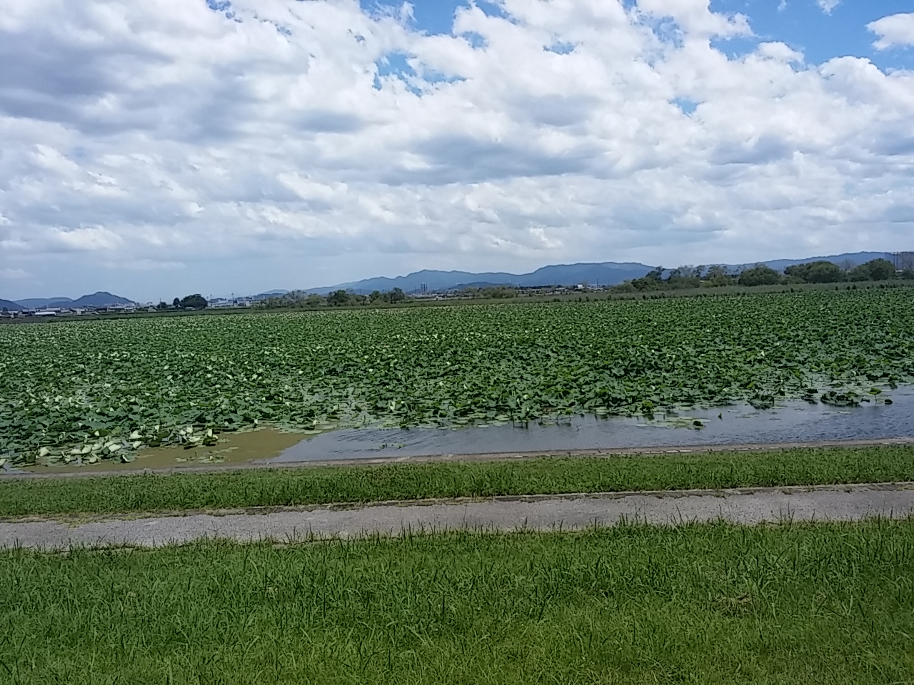 wp-1437661683678 image