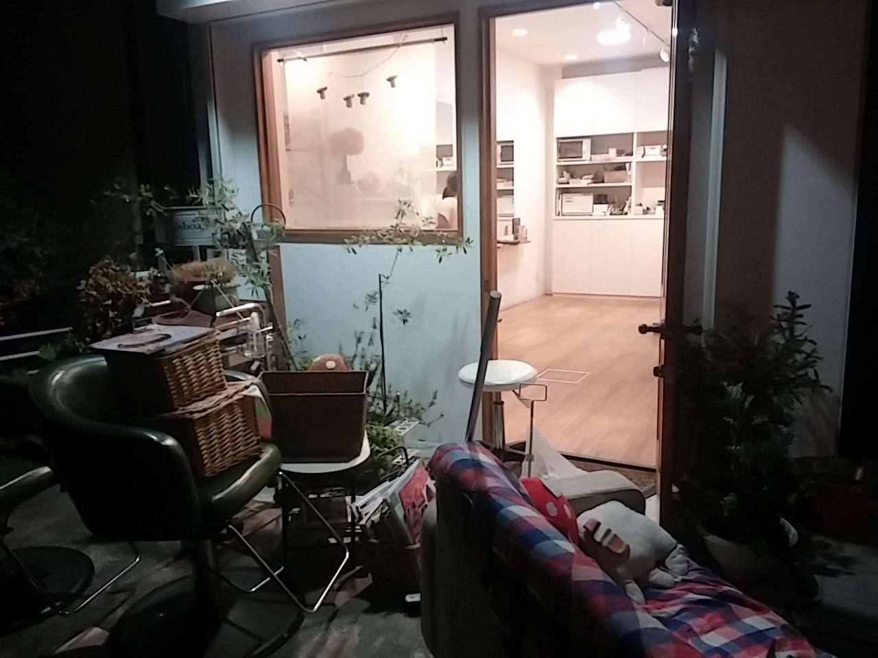 wp-1439302590532 image