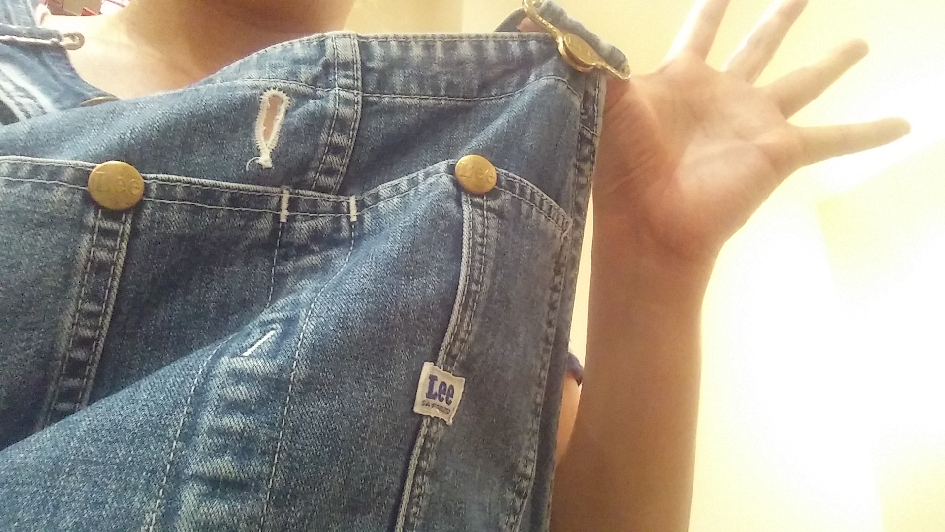 wp-1440492851898 image