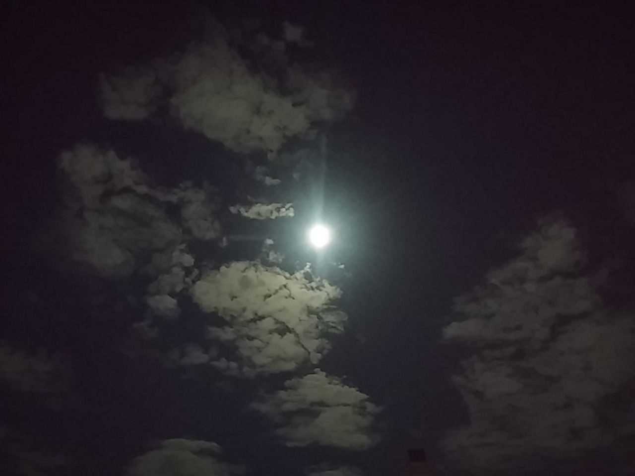 wp-1443368415881 image