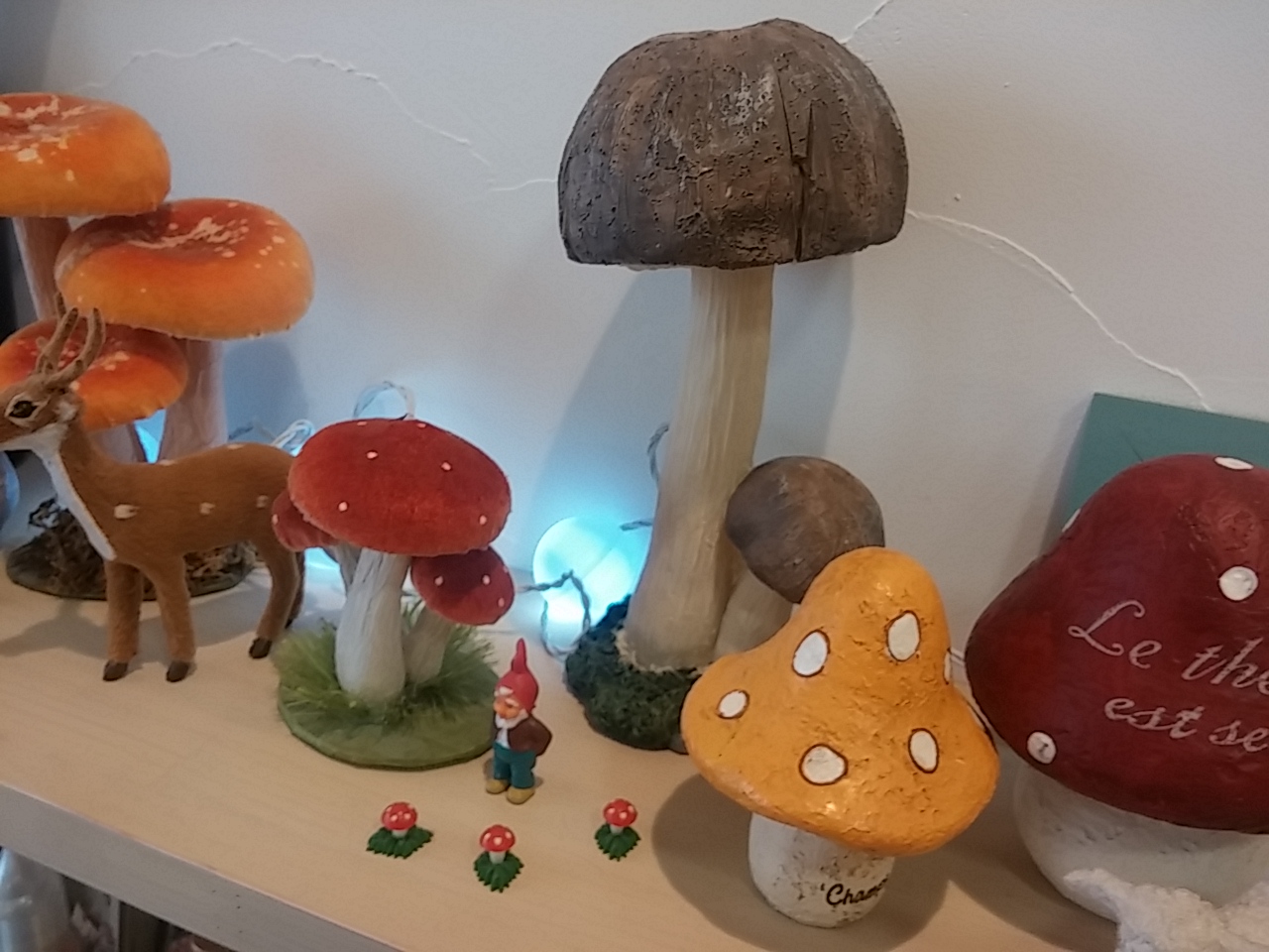 wp-1453174448659 image